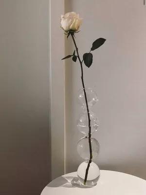 一间小众杂货铺,上海小众杂货宝藏店铺