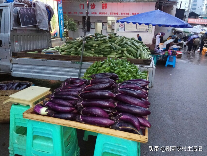 30岁小伙坚持农村创业,农村人辞职创业致富走上人生巅峰