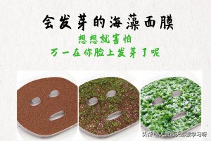 美容院用的淡斑面膜海藻,海藻面膜保湿美白