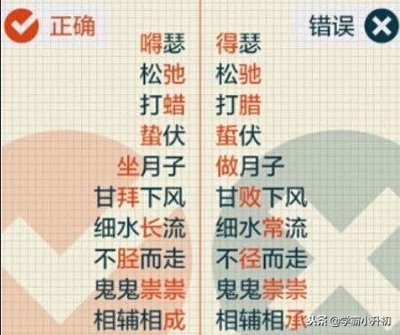 小升初总复习字词专项训练大全,小升初高频易错字归纳大全