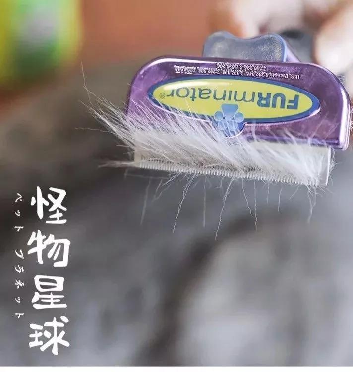 猫撸毛的工具,去猫毛神器推荐实测有效第一