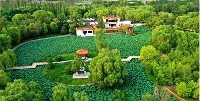 双台子区招商,双台子产业园区规划