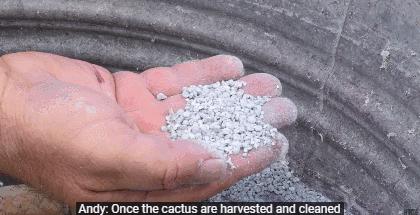 十大致癌口红排名,十大致癌的口红