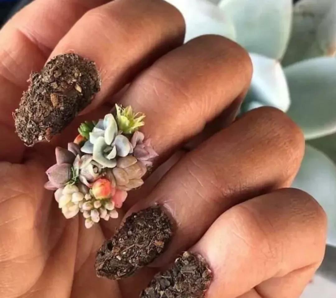 美甲师在吗？我被丑得睡不着觉