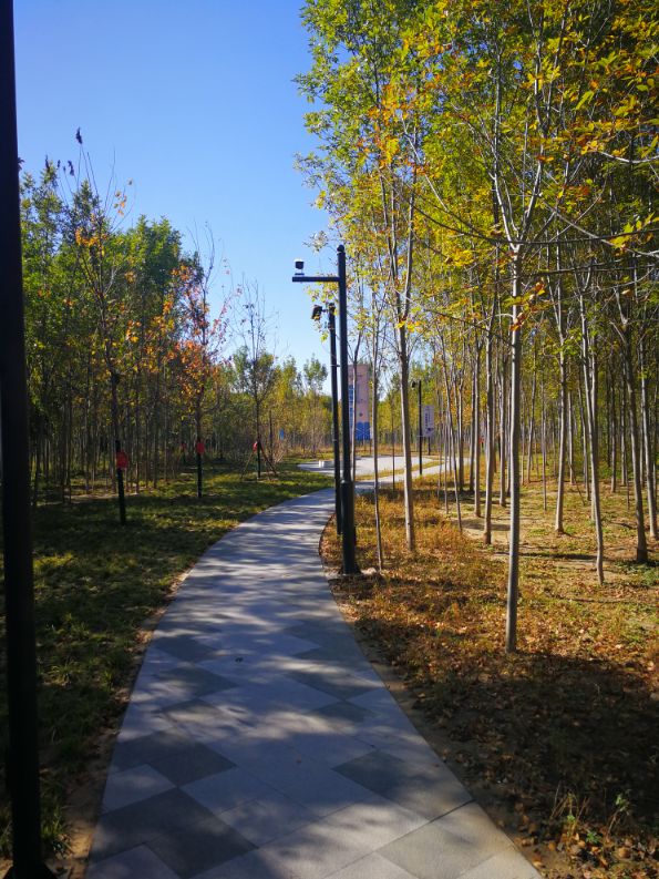 廊坊三叶公园附近,廊坊三叶公园室内游乐场门票