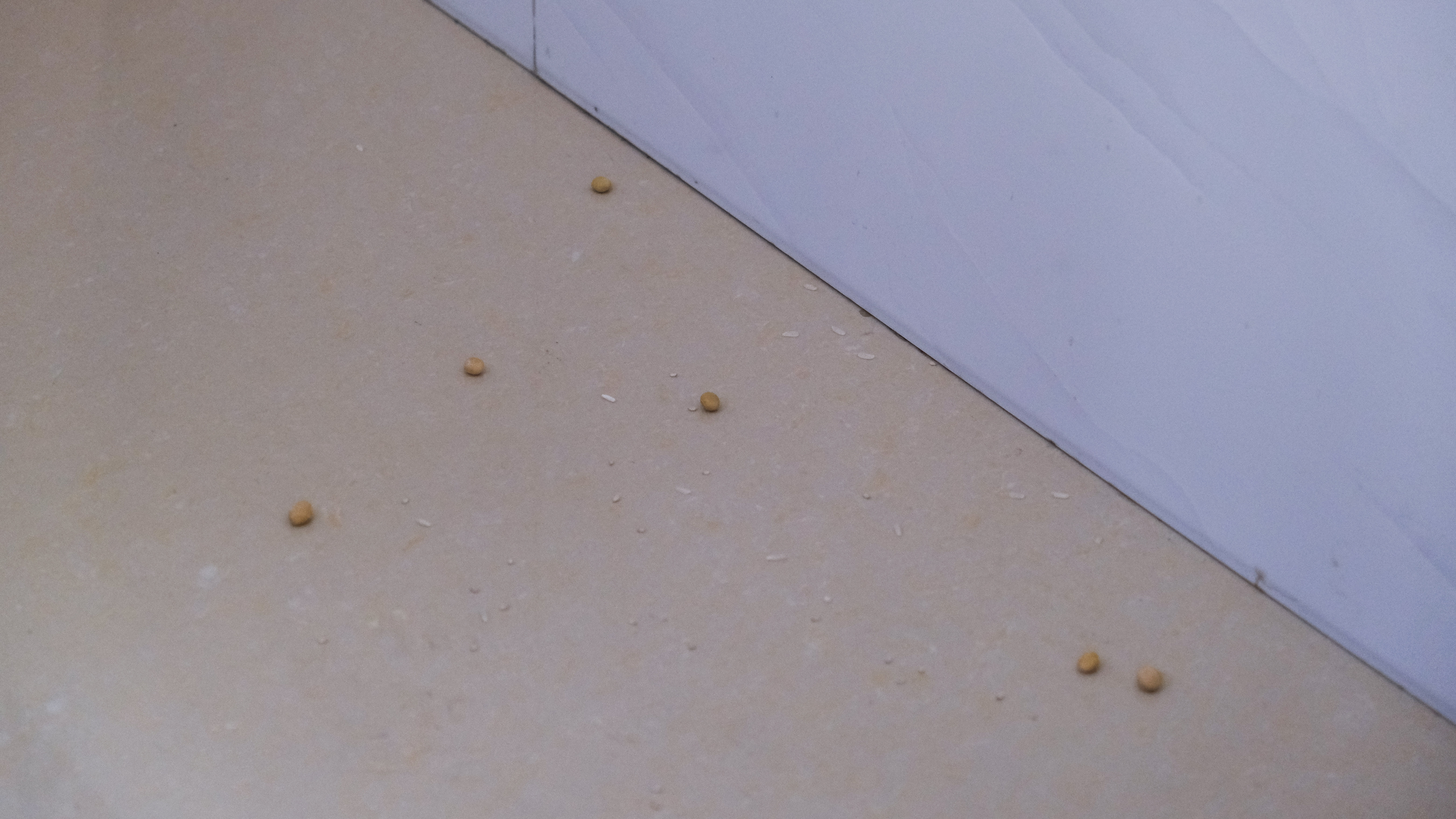 扫拖吸一体扫地机器人有必要买吗,扫拖一体扫地机器人哪个好用