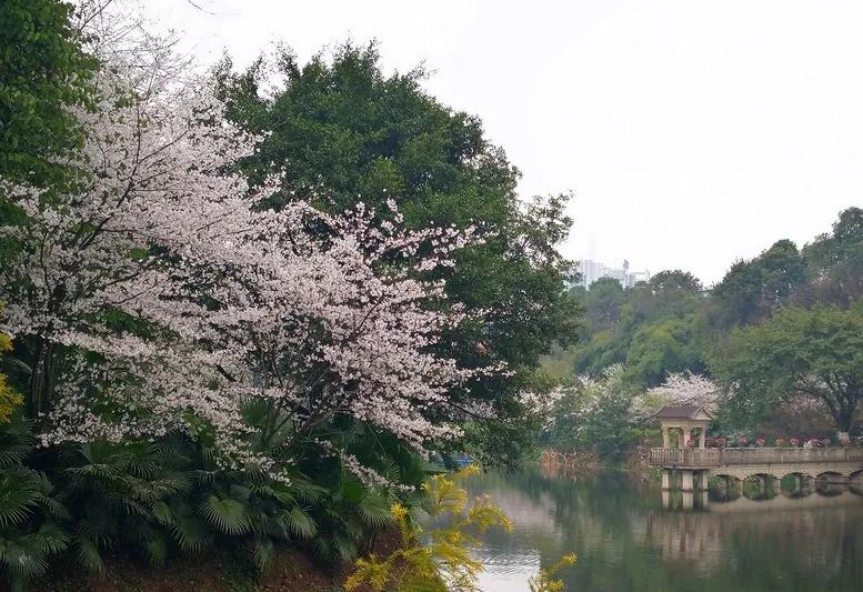 重庆55个景点免费游玩有哪些,重庆五一自驾游1天最佳路线