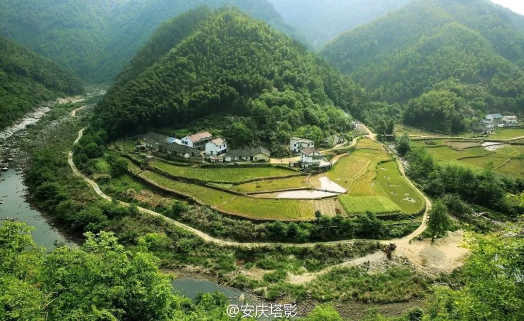 在穷困潦倒面前一文不值,拼多多是贫民窟的福音吗