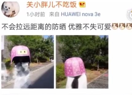 安耐晒有问题吗,安耐晒竟然败给了这几款