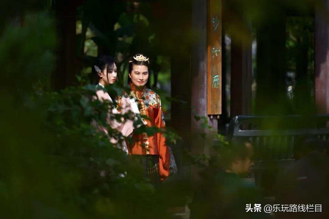 秋天的第一次旅程,秋天的第一场旅行30秒