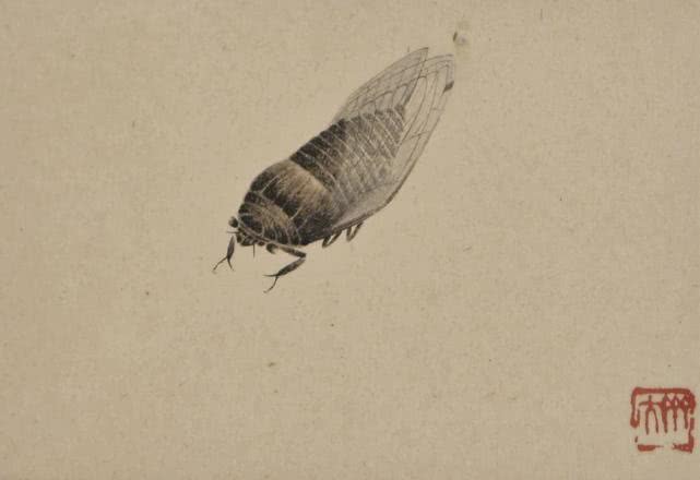 唐僧肉的神仙吃法,这才是唐僧肉的正确吃法