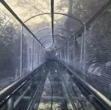 扩散|天津首个“7D花海天空之境”开放？全国都翻车了