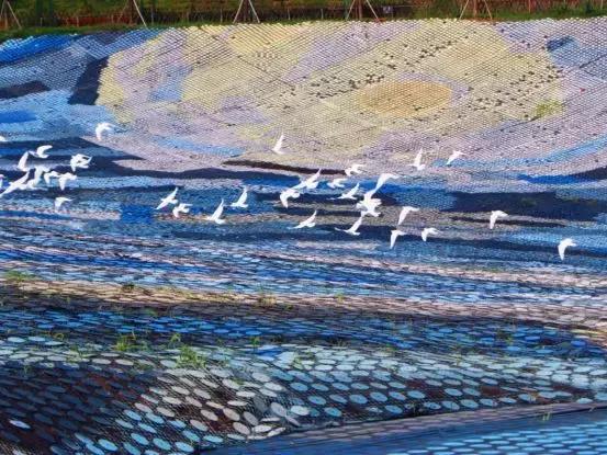 暑假两个月太无聊怎么办,暑假2个月无聊怎么办