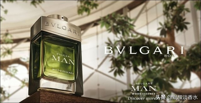 宝格丽城市森林一款默叔不推荐的商业香水