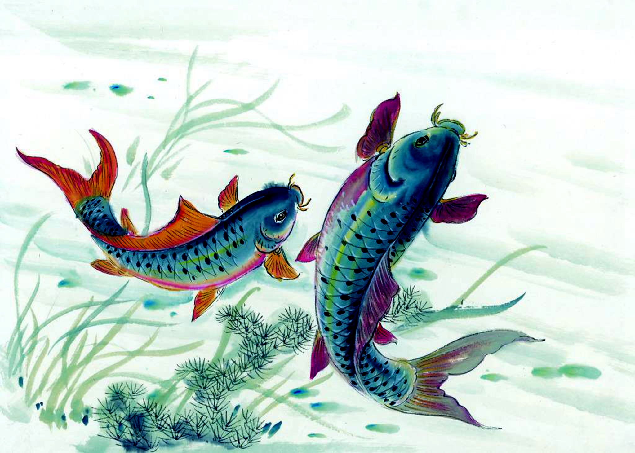 讲述小鲤鱼跳龙门的大概故事,鲤鱼跳龙门具有什么样的习性