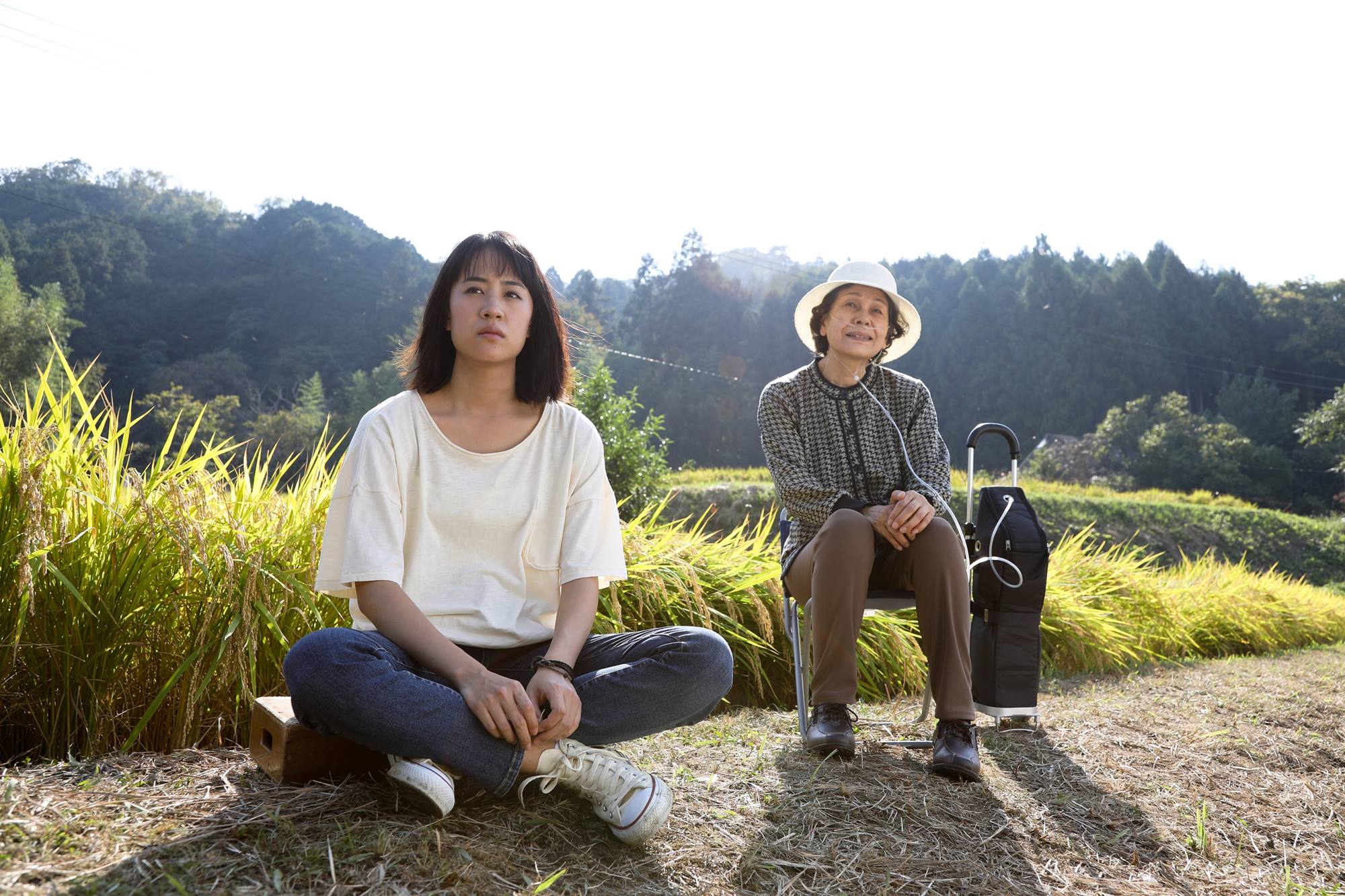 浜岄樁鍫傚鐗╄瑙ｈ,浜岄樁鍫傚鐗╄