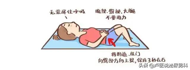 产后漏尿凯格尔盆底肌训练,产后盆底肌凯格尔运动恢复排尿