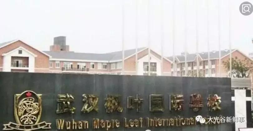 武汉江夏庙山学校规划,江夏区大桥学校规划