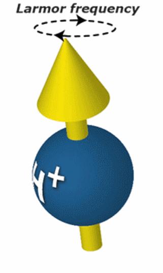 磁共振怎么看大脑基底节区和丘脑,脑核磁能不能看清楚骨头