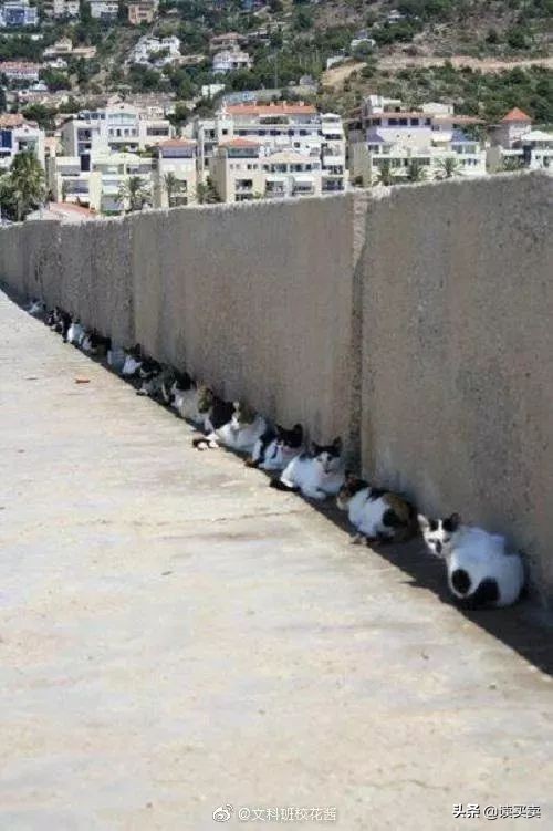 怎么样判断一个男生直不直男,怎么判断一个男的直不直男