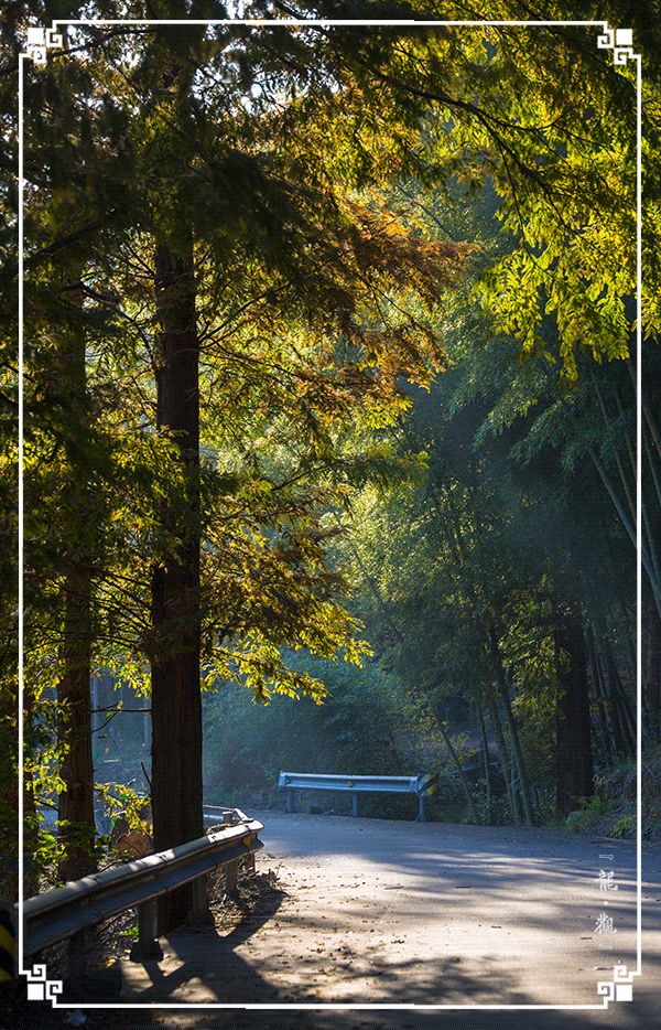 宁波龙观一分钟，浩瀚时间海，弱水一瓢饮
