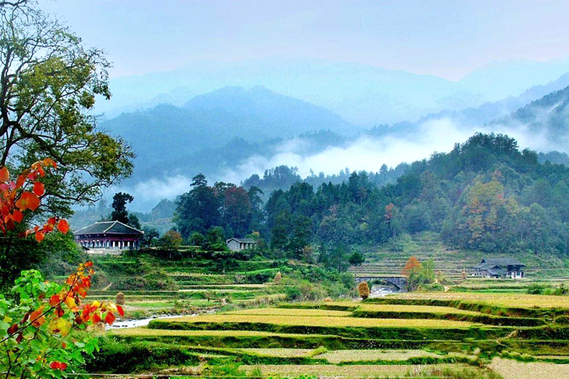 梵净山红云金顶往下看,贵州铜仁梵净山老金顶