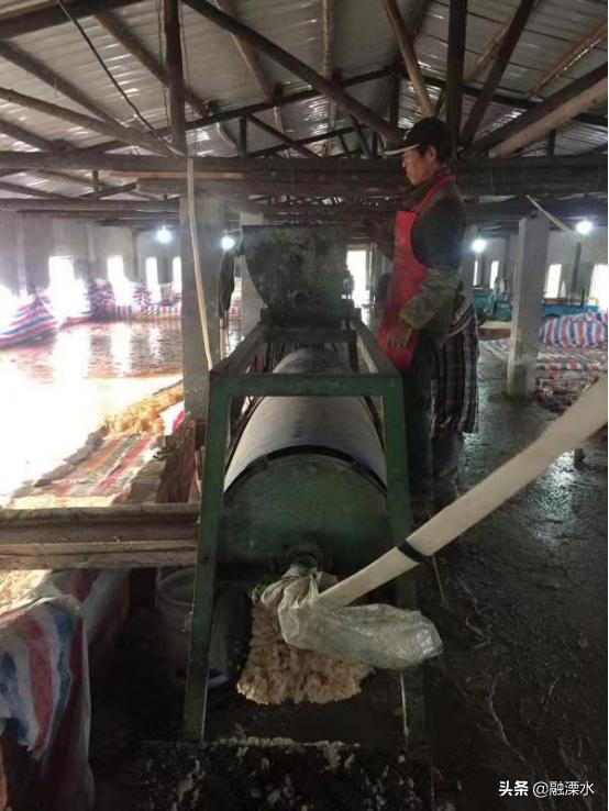 溧水石湫上方村老粉坊的坚守产出浓浓家乡味道