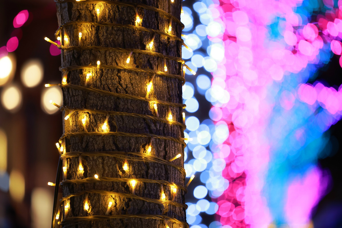 史上最轻便长焦利器佳能RF70-200mmF4L镜头评测