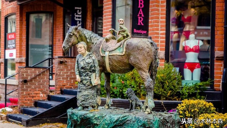 加拿大旅行日记,多伦多最佳生活日记