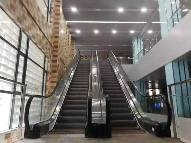 武汉最近哪所大学要搬新校区,武汉重点高中新校区