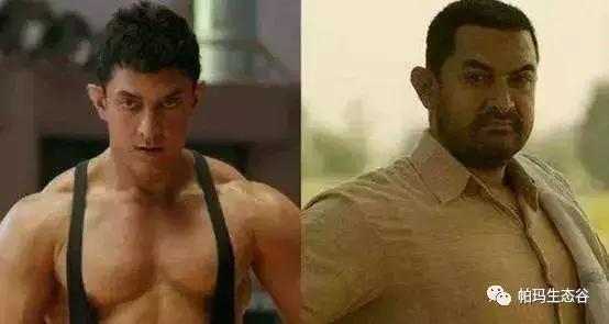 帕玛谷阿育吠陀基地,帕玛生态谷是什么