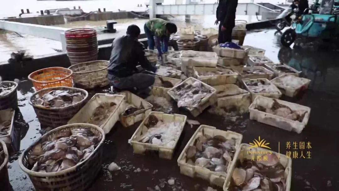 过年必囤的海鲜,过年买什么样的海鲜最有逼格