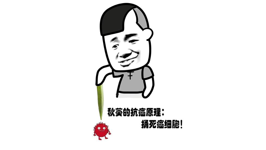 被证实抗癌的食物,抗癌防癌食物谣言