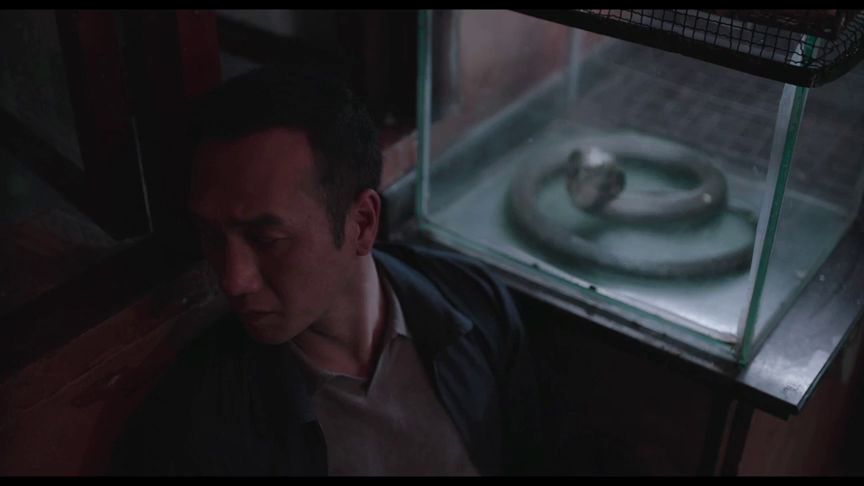 地球最后的夜晚深度解析,《地球最后的夜晚》细思恐极