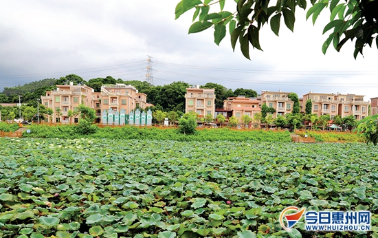 惠州小洱海风景区,惠州隐藏着一个小众海景秘境