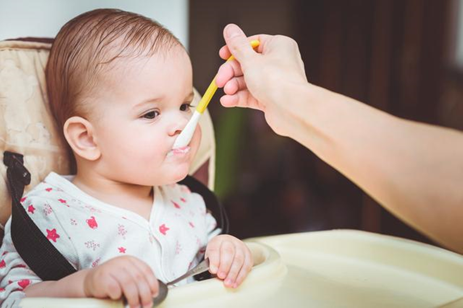 五个月宝宝辅食不当长结石,五个月宝宝双肾结石全身浮肿