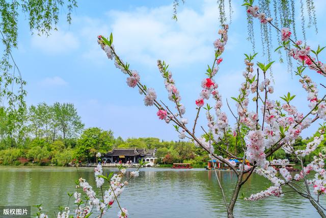 唐诗联句100篇,唐诗三百首优秀句段摘抄加赏析