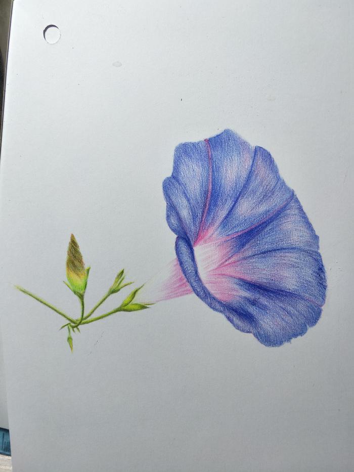 美术生学动漫就业前景怎么样,张雪峰谈美术生就业前景