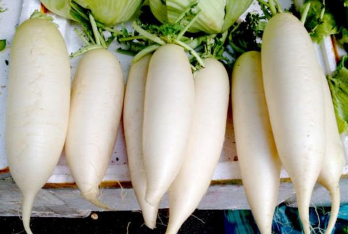 萝卜调馅子煮到什么程度,调萝卜饺子馅要焯水吗