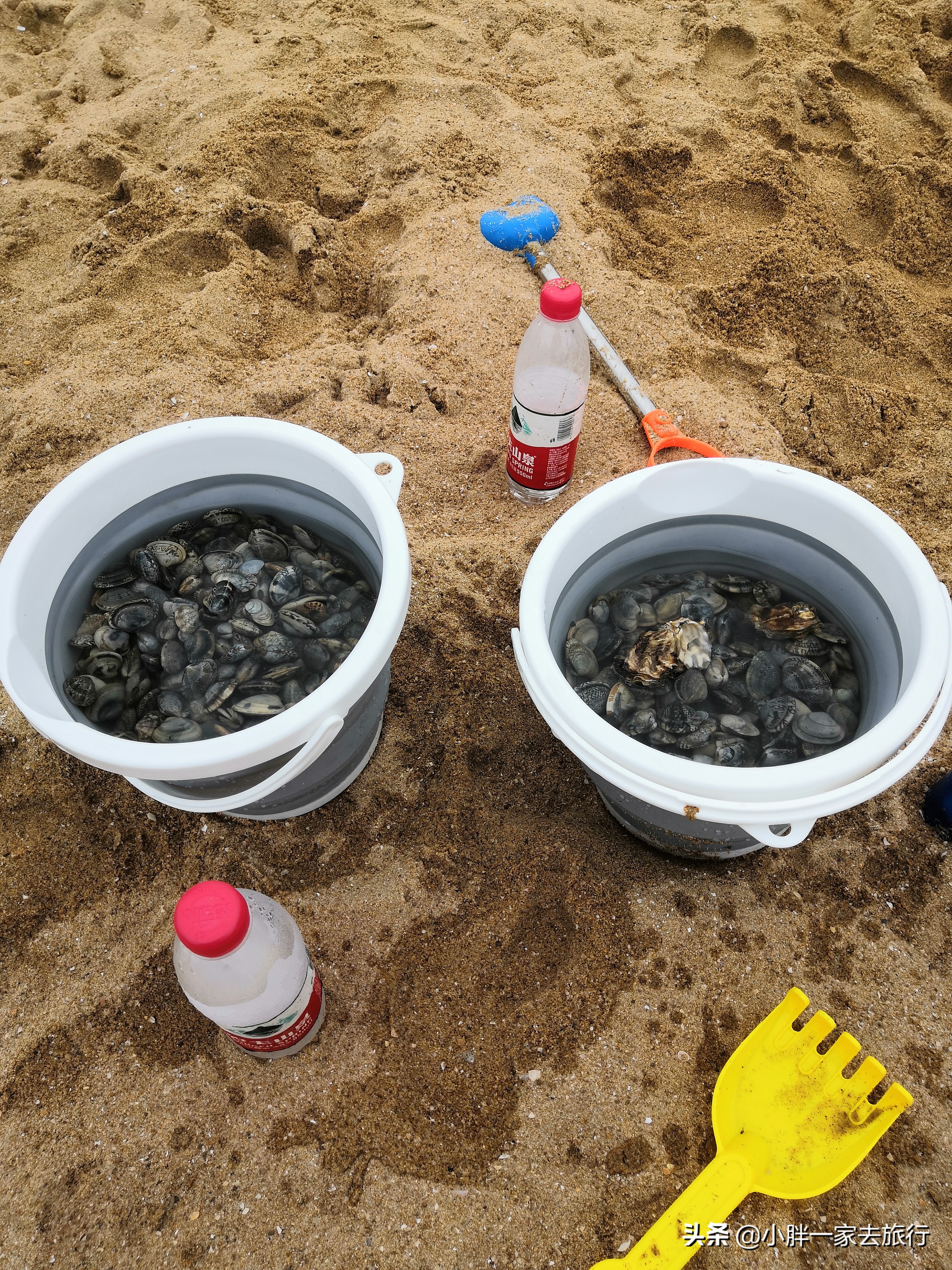 天津拾贝赶海,天津滨海新区赶海拾贝时间表