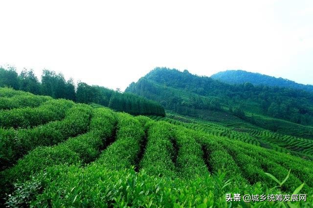 鐧句簨鍙箰璺ㄧ晫鍚堜綔,鐧句簨鍙箰甯傚満鎬荤洃