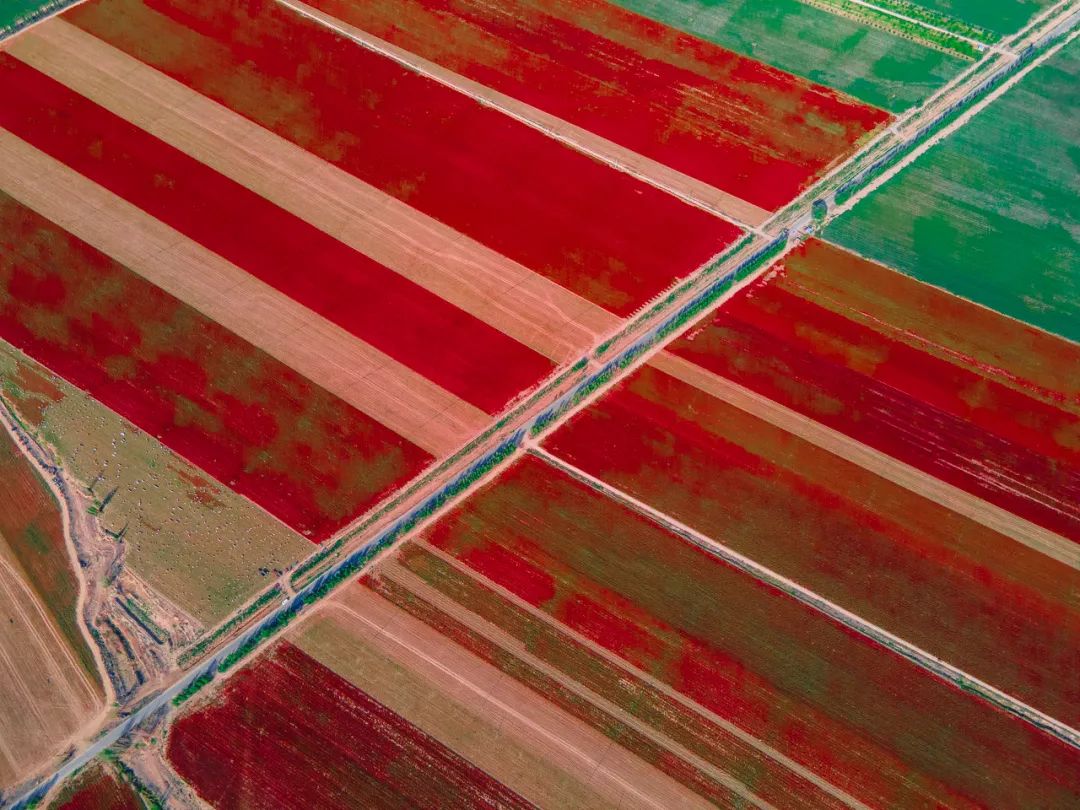 hm耐克阿迪,hm耐克优衣库阿迪达斯