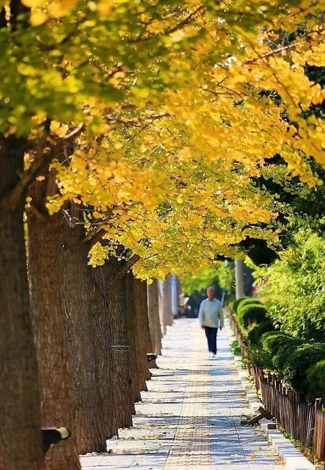 辽宁有美丽的小镇,辽宁有个小城市