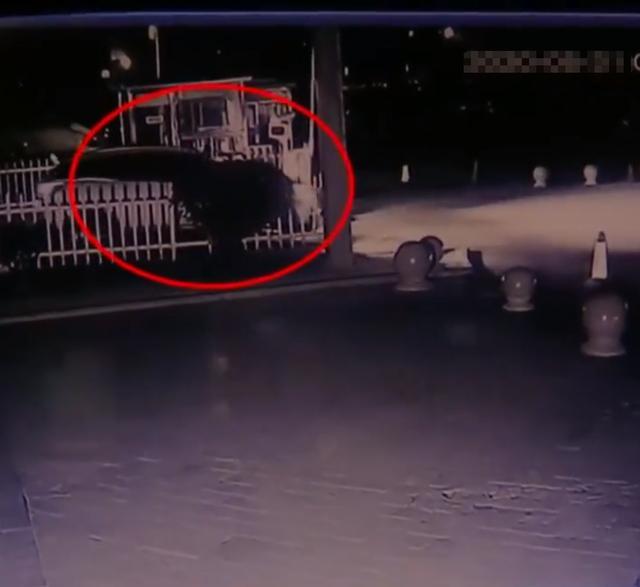 弹个车过户后还会收车么,弹个车以租代购靠谱吗