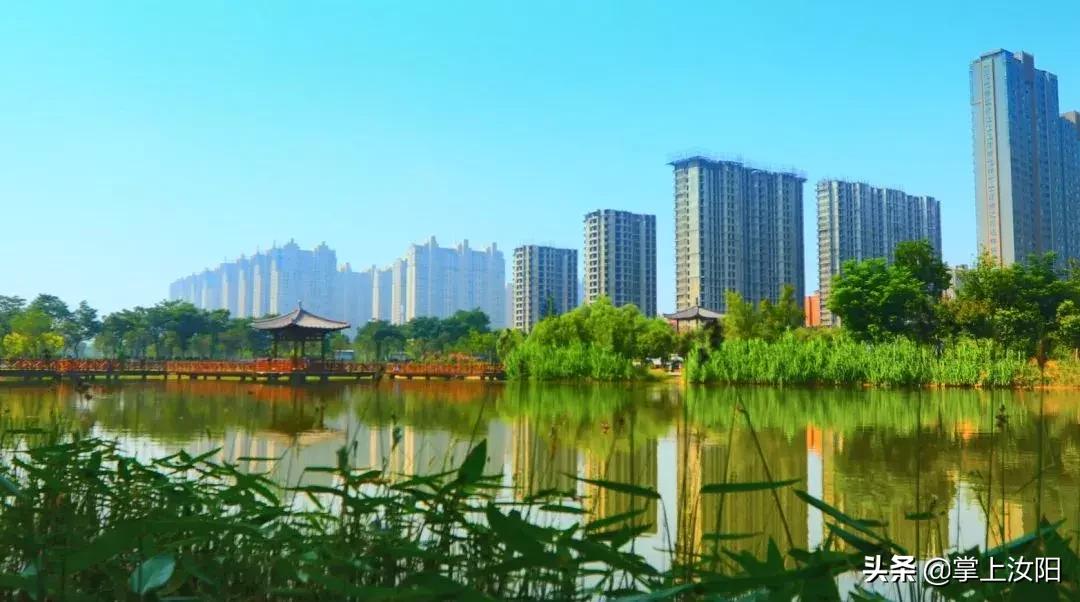 2024年洛阳民生重点工作,2024洛阳市民生实事