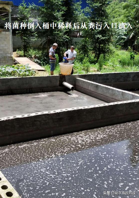 鱼塘水质差用什么改善水质,鱼塘流入养殖场废水如何处理