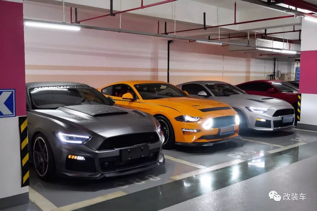 福特mustang杭州,杭州福特野马车友会