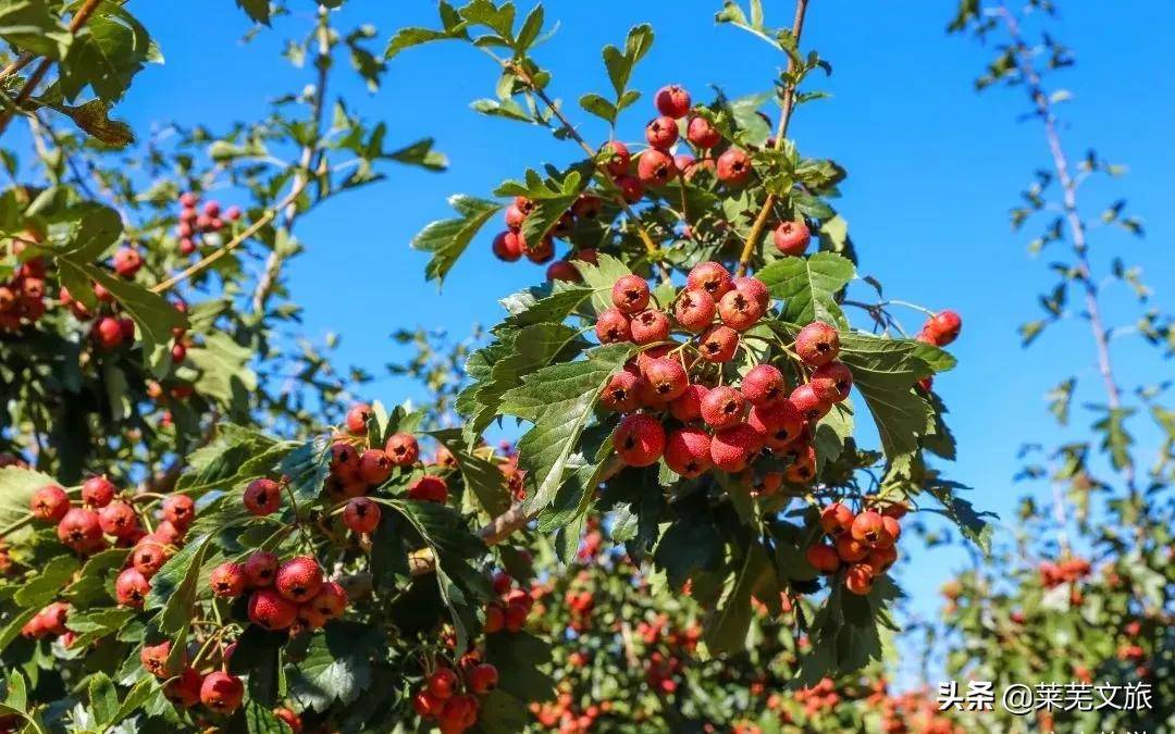 想住民宿去哪旅游,藏于山水间的民宿推荐