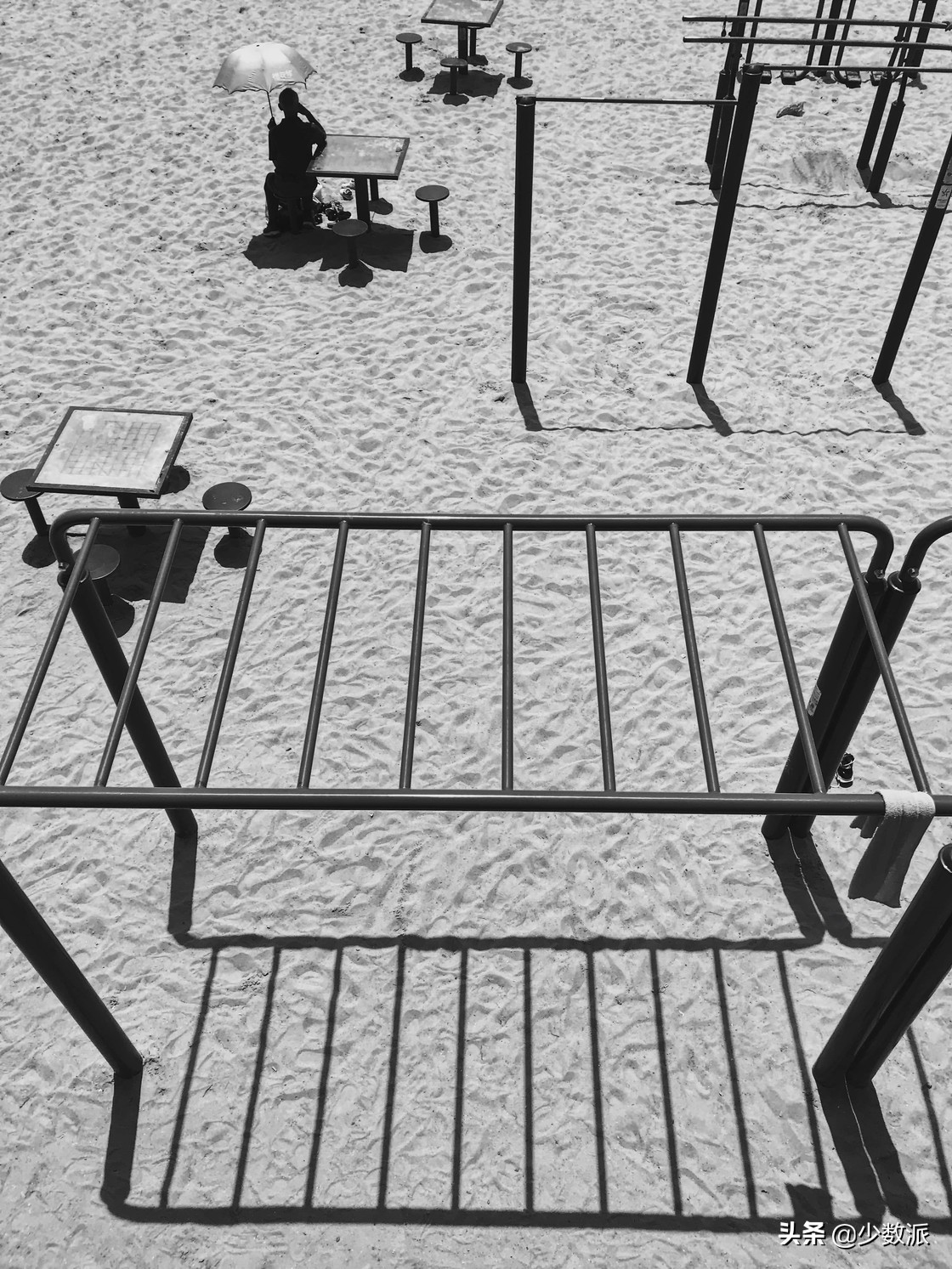 新手如何学会用苹果手机拍好照片,如何拍100张照片苹果