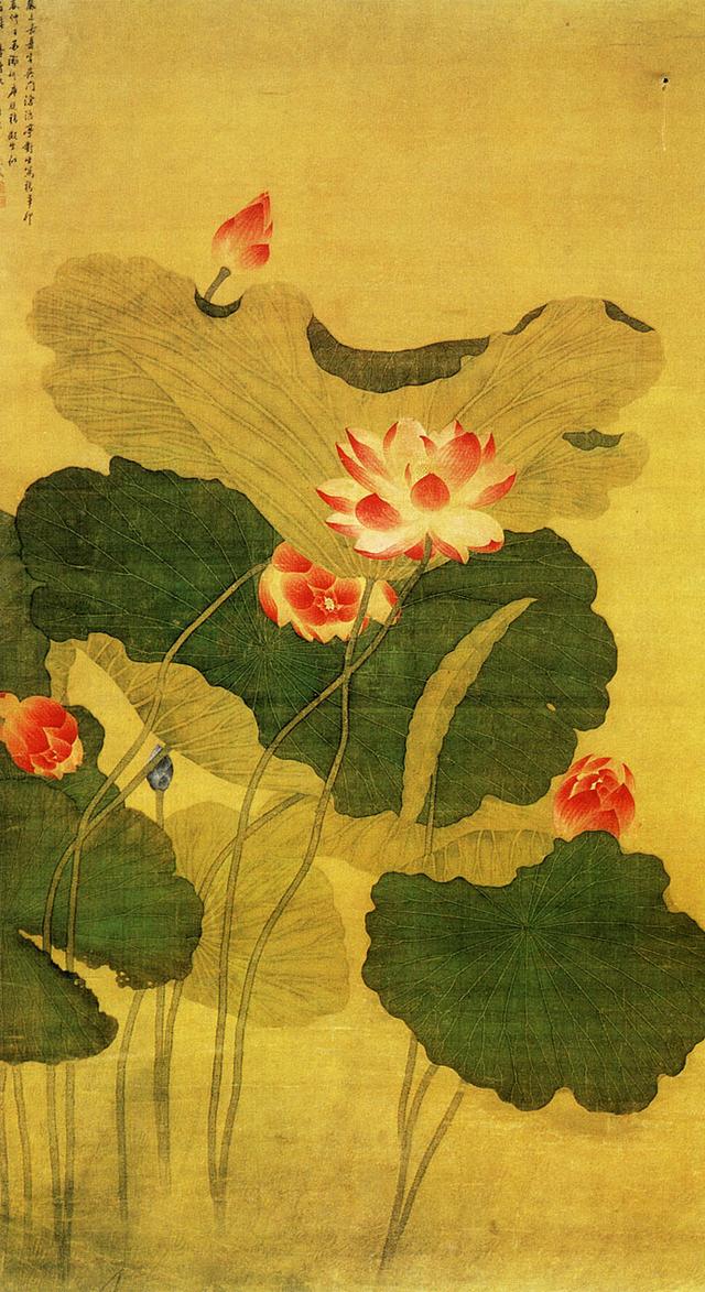 「转」这么美的荷花，千年荷韵